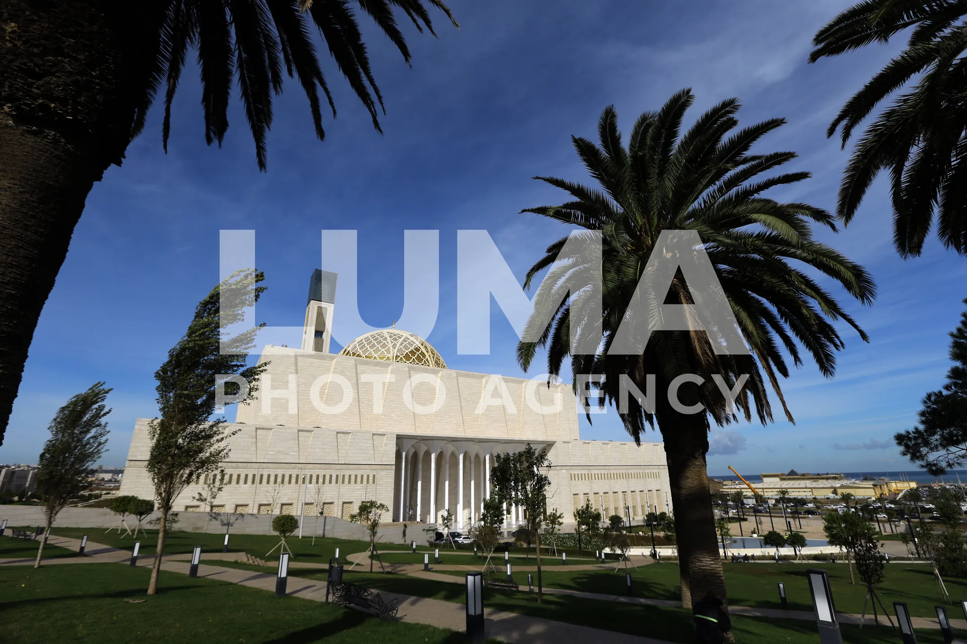 جامع الجزائر الأعظم