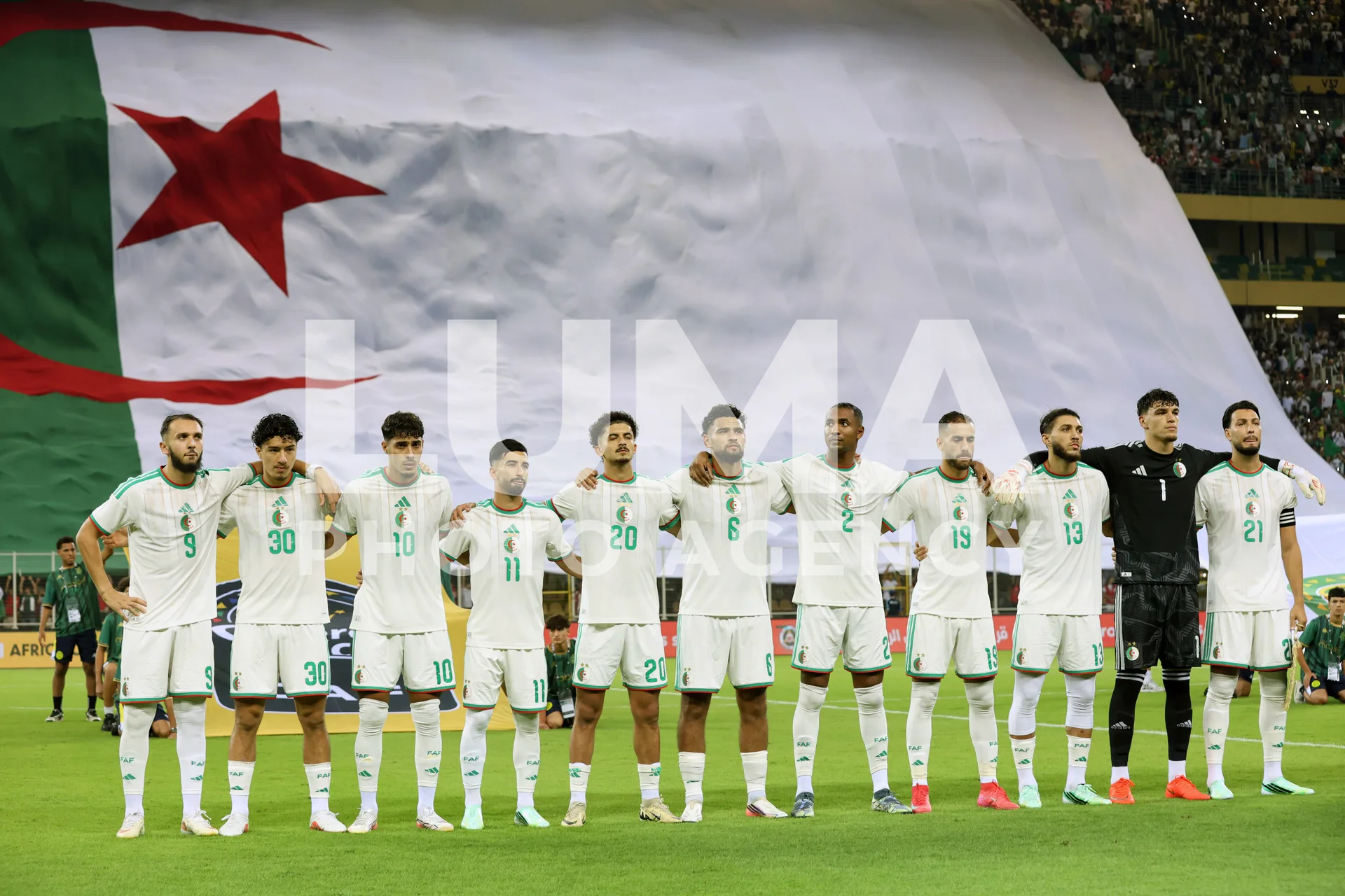 الجزائر - زامبيا