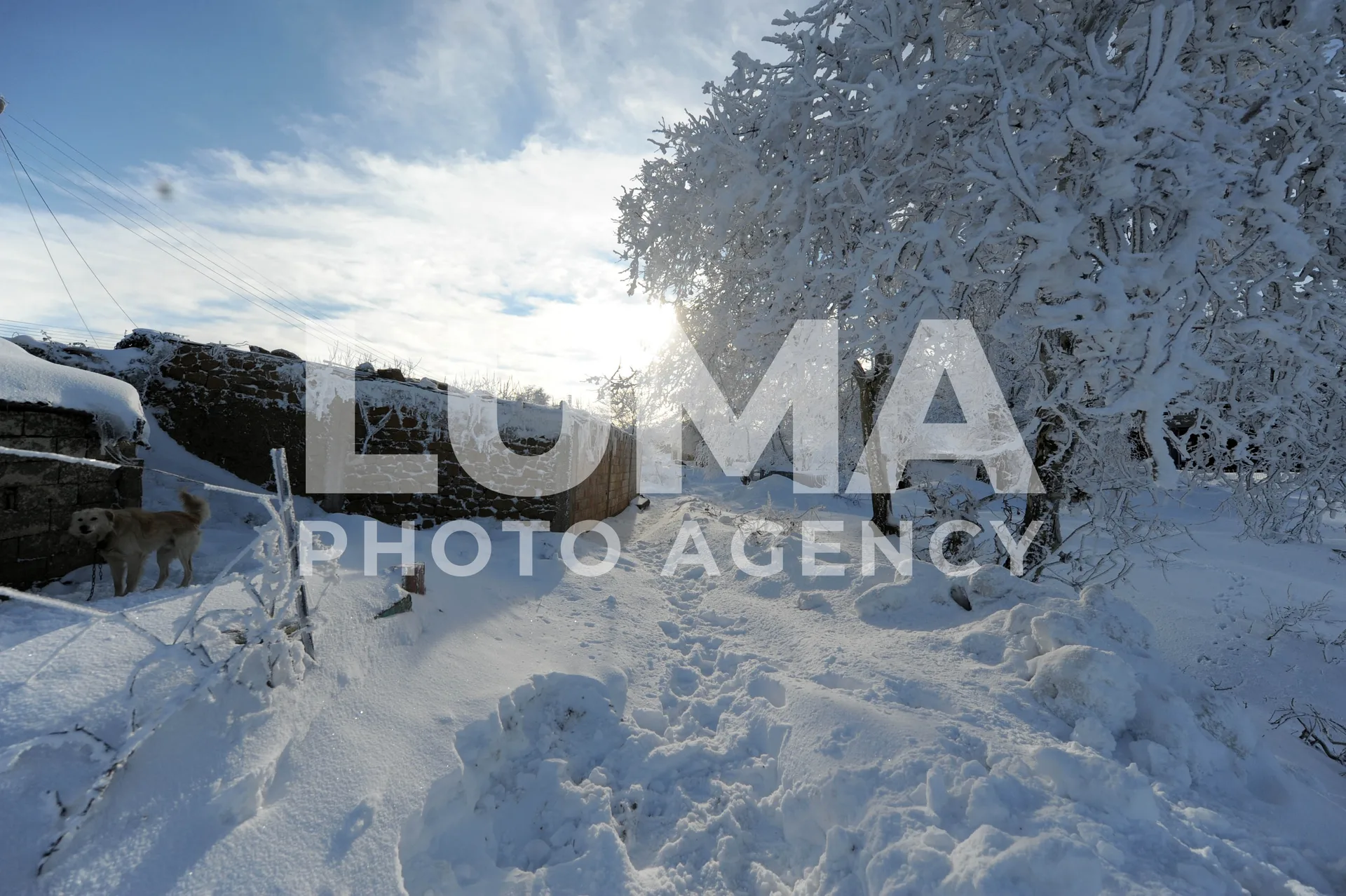 Algeria – Médéa – Snowstorm