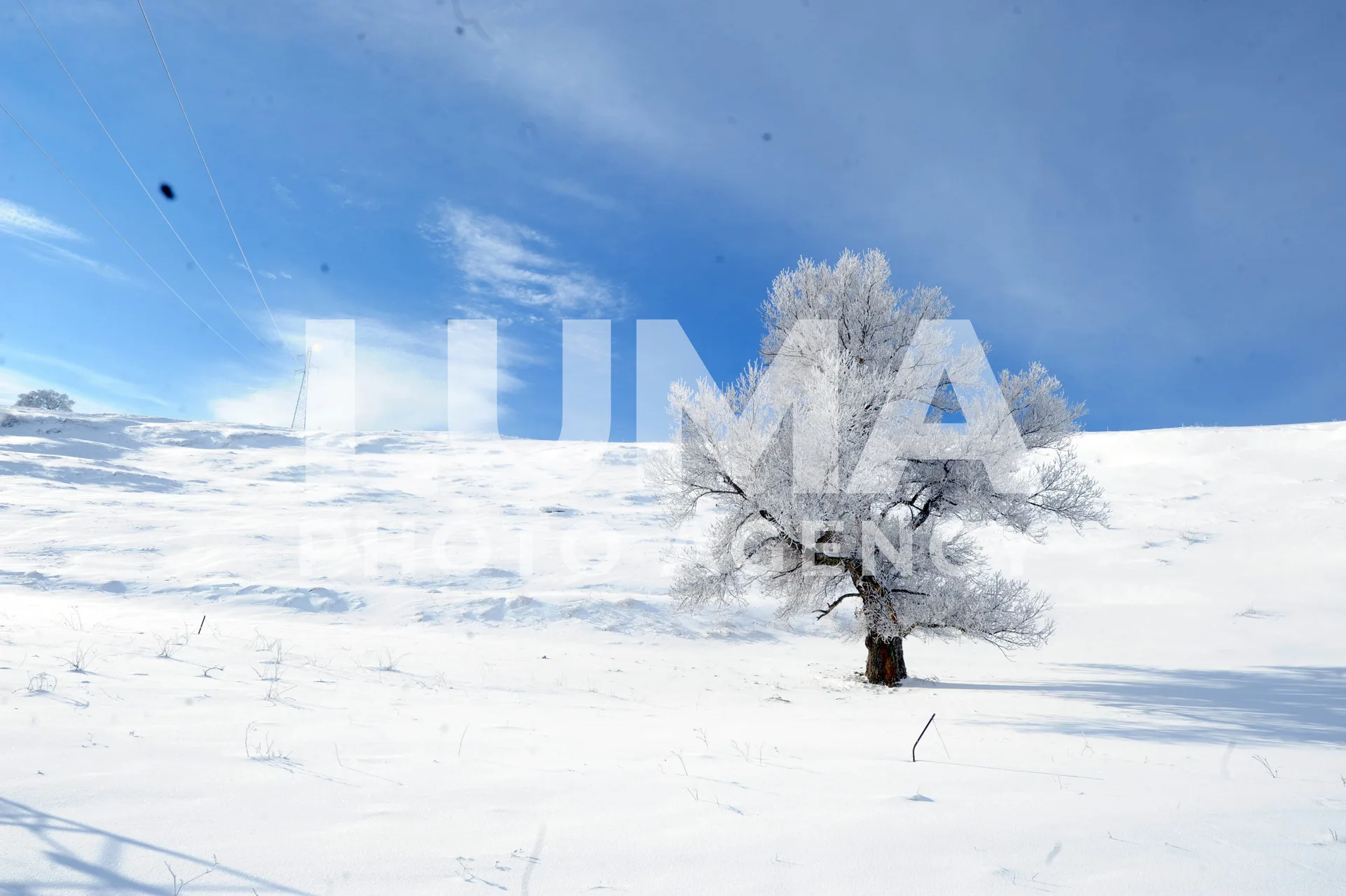 Algeria – Médéa – Snowstorm