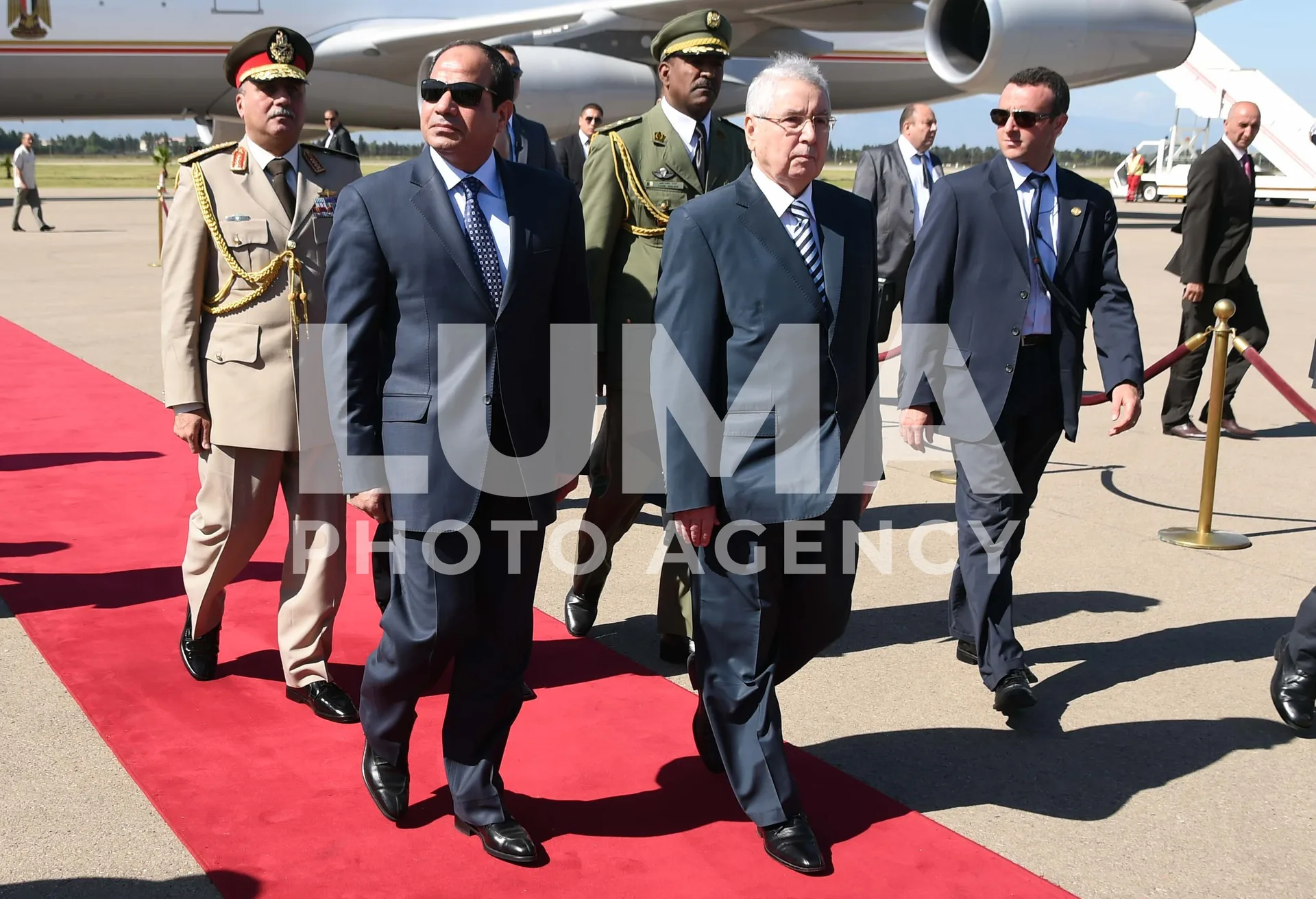 الجزائر - مصر